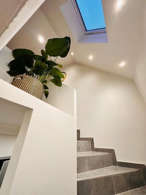 Superbe Maison A Proximite Du Centre De Strasbourg Bischheim Екстериор снимка